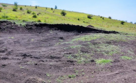 Degradarea stratului de sol fertil la Căușeni Două persoane amendate
