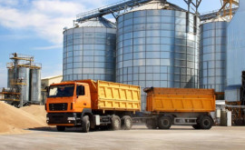 Egiptul a anulat contractul de furnizare de grîu ucrainean