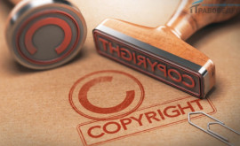 Парламент принял Закон об авторском праве