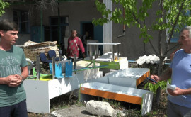 Scandal la o grădiniță din Fălești Părinții revoltați au blocat intrarea în instituție