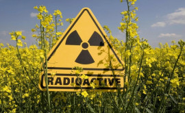 Какой уровень радиации в Молдове Ответ Министерства окружающей среды