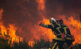 Incendiile de vegetaţie sau dezlănţuit în sudvestul Franţei pe fondul unui nou val de caniculă