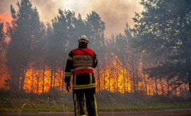 Incendiile de vegetaţie fac ravagii în Franţa mii de persoane au fost evacuate din locuinţe