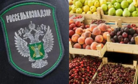 Rosselhoznadzor Nu există nicio politică în interzicerea furnizării fructelor moldovenești
