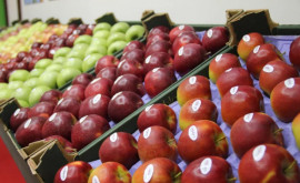 Cum embargoul rusesc va schimba din nou algoritmul de export de mere moldovenești