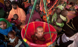 22 млн жителей Африки находятся на грани голода ООН