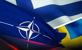 Названа дата встречи Военного комитета НАТО с участием Финляндии и Швеции