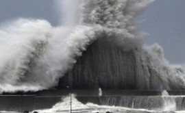 В Южной Корее ожидают беспрецедентный удар тайфуна Хиннамнор