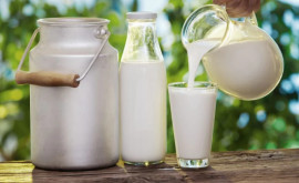 ANSA inițiază un program național privind calitatea laptelui
