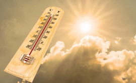 Vara anului 2022 cea mai călduroasă înregistrată în Europa