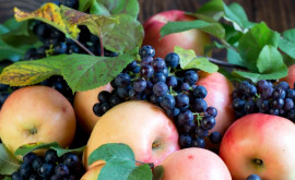 Struguri mere și pere Cît costă fructele de sezon la Piața Centrală