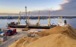 Peste 4 milioane tone de produse agricole au ieșit din porturile ucrainene