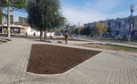 Continuă lucrările de reparaţie a trotuarelor din bd Mircea cel Bătrîn din capitală