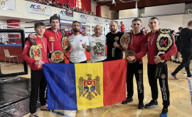 Четверо бойцов Воевод стали чемпионами мира на XFC