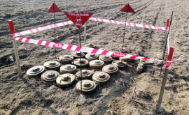 Азербайджан назвал количество найденных мин на освобожденных территориях 