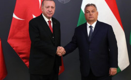 Орбан и Эрдоган высказались за перемирие между Россией и Украиной