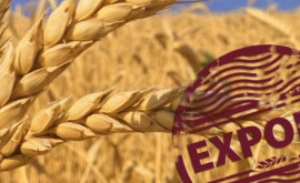 Moldova a intrat în TOP5 al furnizorilor de grîu din UE