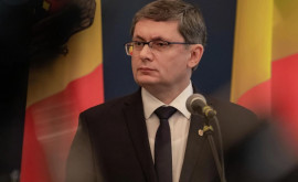 Гросу Сергей Литвиненко не должен уходить в отставку