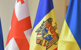 R Moldova a primit statut de observator în cadrul Tratatului Comunității Transporturilor