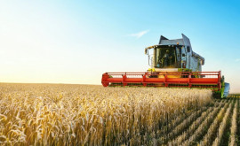 Ce va salva agricultura Moldovei