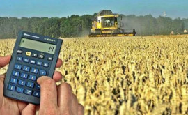 Statul va rambursa producătorilor agricoli TVA