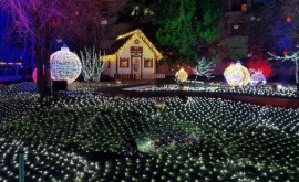Правительство несогласно с тем что в Кишиневе должна быть только одна елка и одна рождественская ярмарка