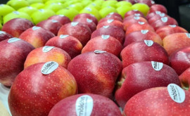 Exportul de mere în Rusia sa redus considerabil