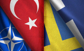 В Турции рассказали о ратификации заявок Швеции и Финляндии на членство в НАТО