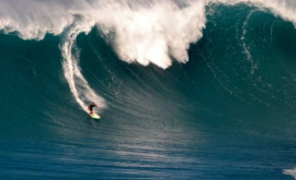 Celebrul surfer Mad Dog a murit în timp ce se antrena pe valuri uriașe din Portugalia 