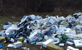 Перерабатывающие компании просят людей сортировать мусор 