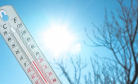 Vreme anormal de caldă în primele zile ale lunii ianuarie