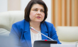 Премьер прокомментировала критику в адрес министров Спыну и Литвиненко 