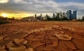 Климатологи 2024 год может стать самым жарким в истории