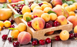 Плодоводы Молдовы просят сохранить повышенные евроквоты на поставки фруктов в 2023 году
