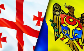 Moldova și Georgia intensifică cooperarea pentru reintegrarea țărilor