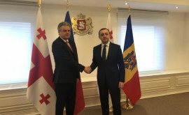Vicepremierul Oleg Serebrian a discutat la Tbilisi cu înalți oficiali georgieni