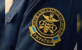 Кабмин Украины уволил все руководство таможни
