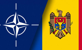 NATO va extinde asistența militară pentru Moldova și Georgia