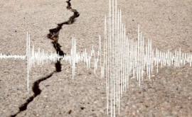 Cutremurul puternic din 14 februarie din România a fost urmat de 540 de replici