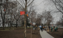 В Кишиневе созданы 5 аллей посвященных пострадавшим от землетрясения городам Турции