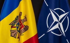 Игорь Гросу Молдова не вступит в НАТО