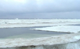 50 de pescari au rămas izolați pe o bucată de gheață pe Insula Sahalin