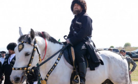 Un cal al liderului cecen Ramzan Kadîrov a fost furat din Cehia