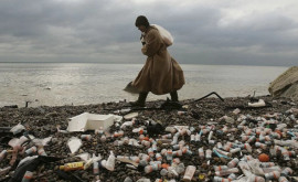 Количество пластика попадающего в океаны может возрасти почти втрое к 2040 году 