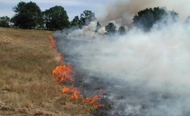 На севере Молдовы горит трава Пожарные борются с огнем