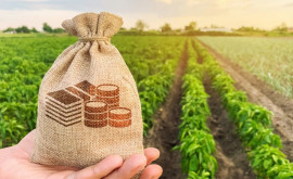 Măsurile și condițiile de subvenționare în agricultură vor fi stabilite de către Guvern
