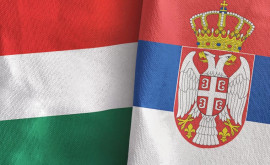 Serbia și Ungaria vor înființa Consiliul Strategic de Securitate 