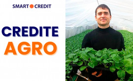 SMART CREDIT crede în AGRICULTURA din Moldova și susține agricultorii