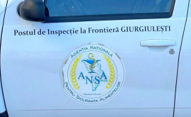 Șeful Postului de Inspecție la Frontiera Giurgiulești al ANSA și 10 subalterni reținuți de CNA