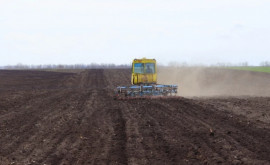 Fermierii din Dubăsari vor avea acces la terenurile agricole situate după traseul TiraspolCamenca